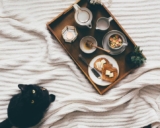What Foods Should I Avoid Feeding My Cat?